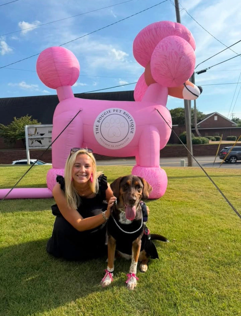 Meet Lexi Grace: Our September 2026 Pet of the Month 👑