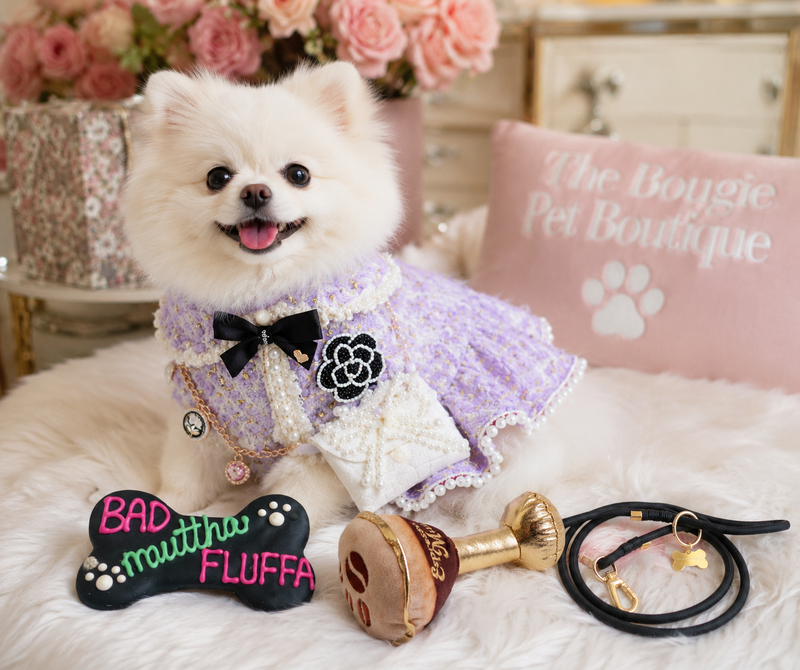 White Pomeranian wearing the Classic Princess Dress surrounded by Espresso Muttini plush toy, BAD MUTTHA FLUFFA bone treat, and The Bougie Pet Boutique teal leash