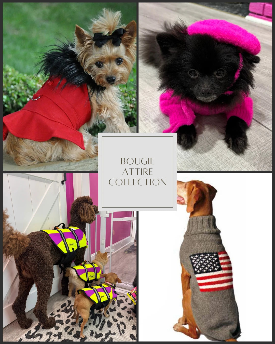 Bougie Pet Attire - The Bougie Pet Boutique