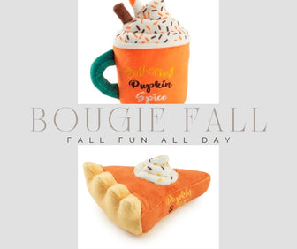 Bougie Fall Collection
