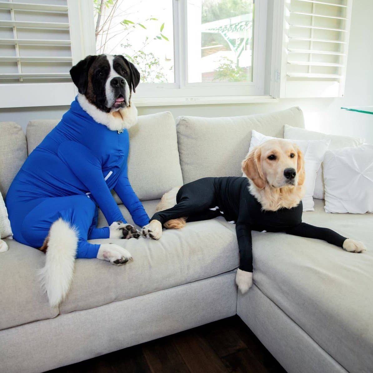 Shed Defender® Original Dog Onesie - Shedding Bodysuit Shed Defender