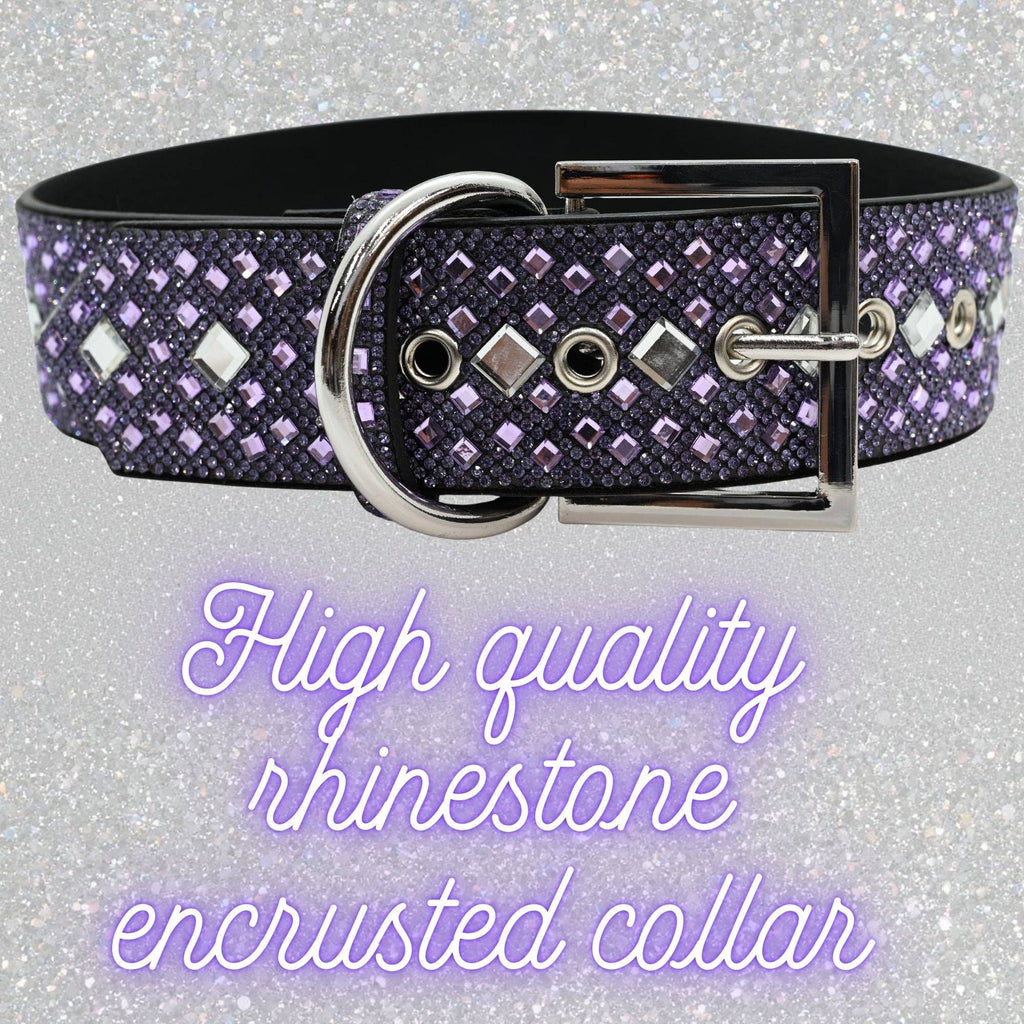 Purple Rhinestone Dog Collar Dog Collar World