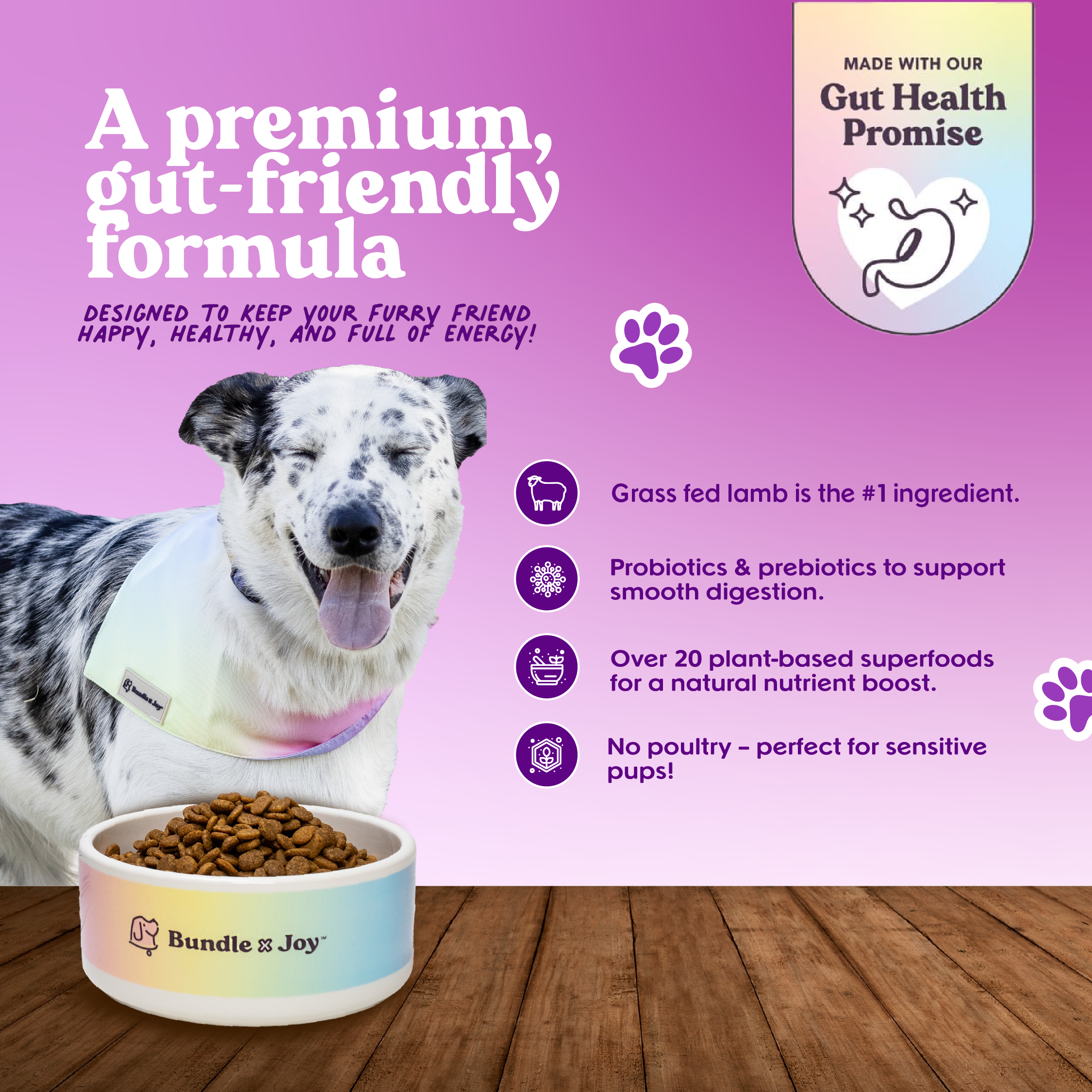 Brave Grass-Fed Lamb Dog Food (Poultry-Free) 4lb