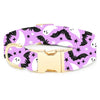 Spooky Season Glow-in-the-Dark Dog Collar