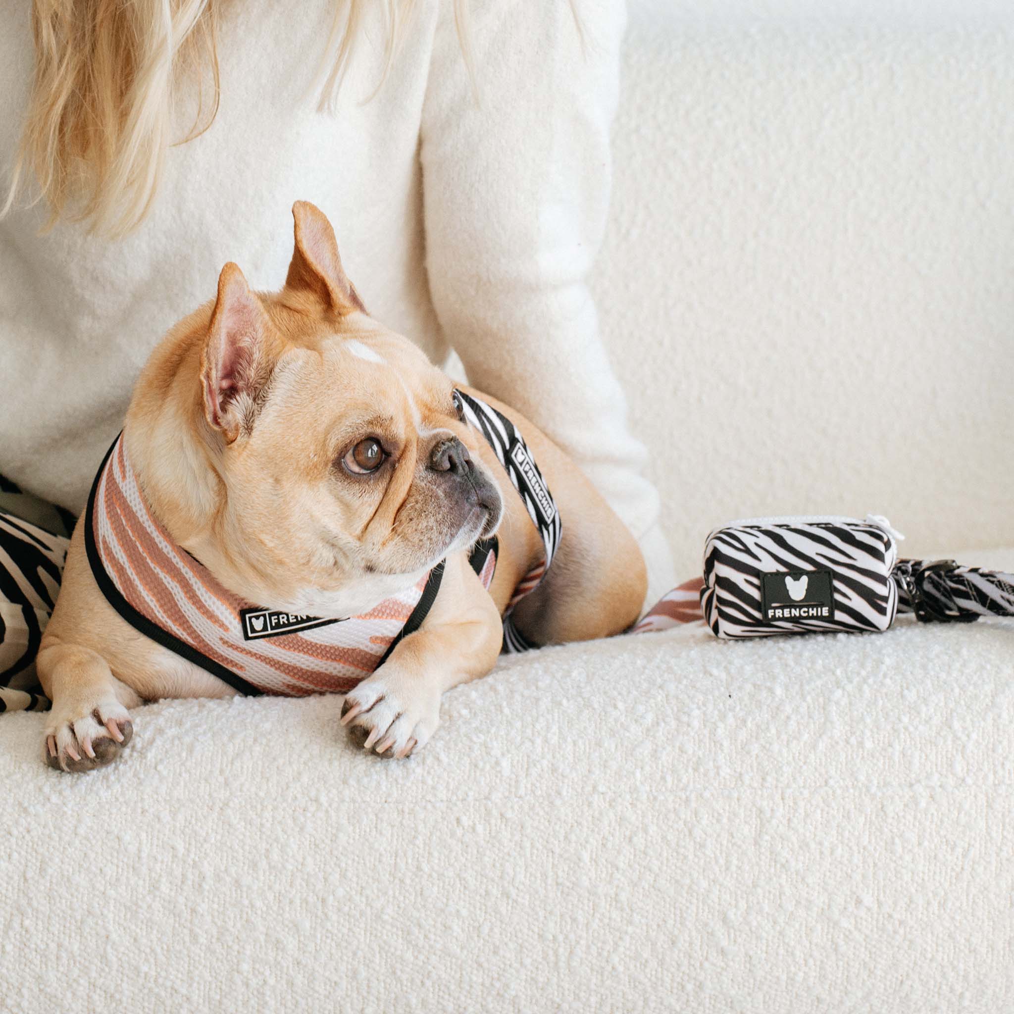 Frenchie Poo Bag Holder - Zebra