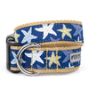 Starfish Collar The Worthy Dog