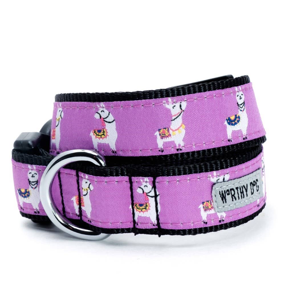 Llamas Collar - The Bougie Pet Boutique