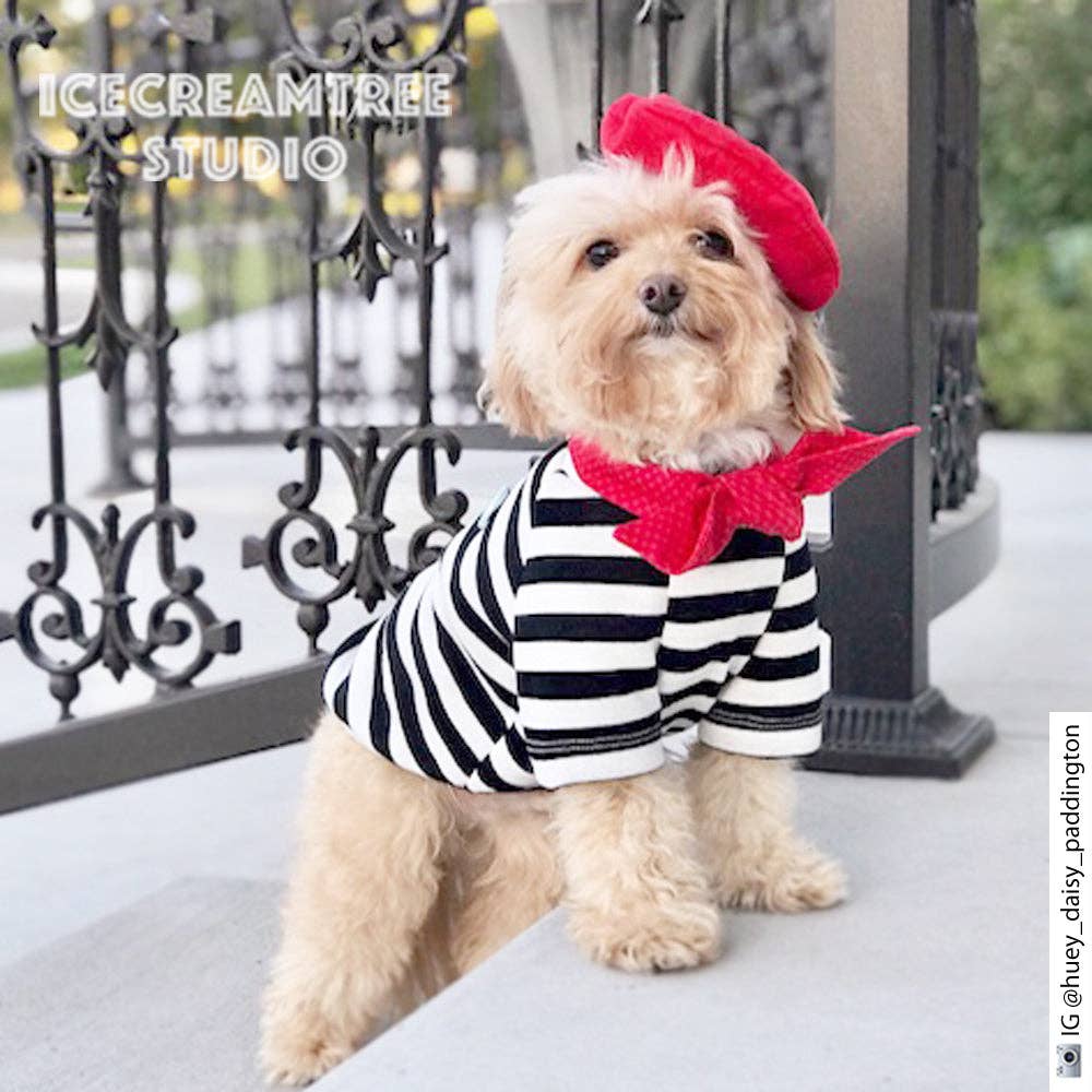 French Look Outfit Scarf and Black Stripe Top Set - Dog Cat