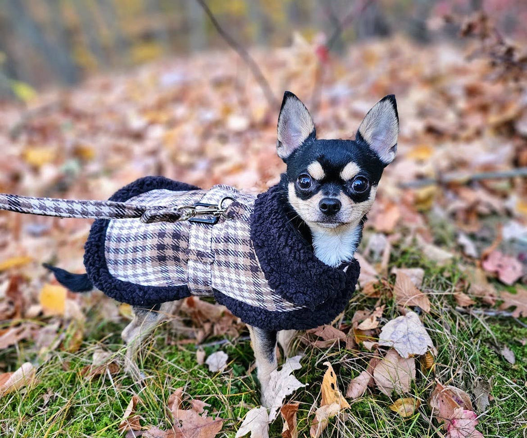 Sherpa-Lined Dog Harness Coat - Brown & White Plaid Doggie Design