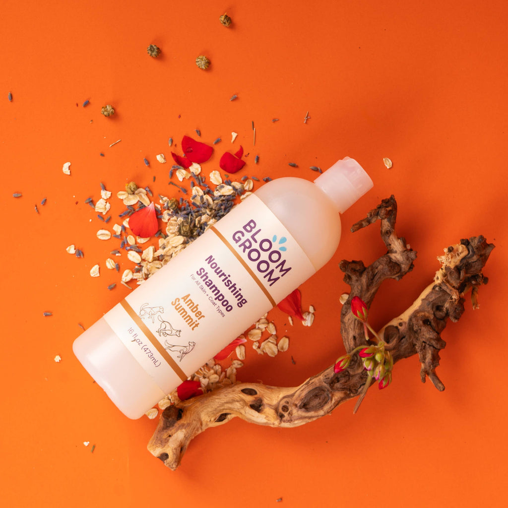 Nourishing Shampoo For Dogs, Amber Summit Bloom Groom