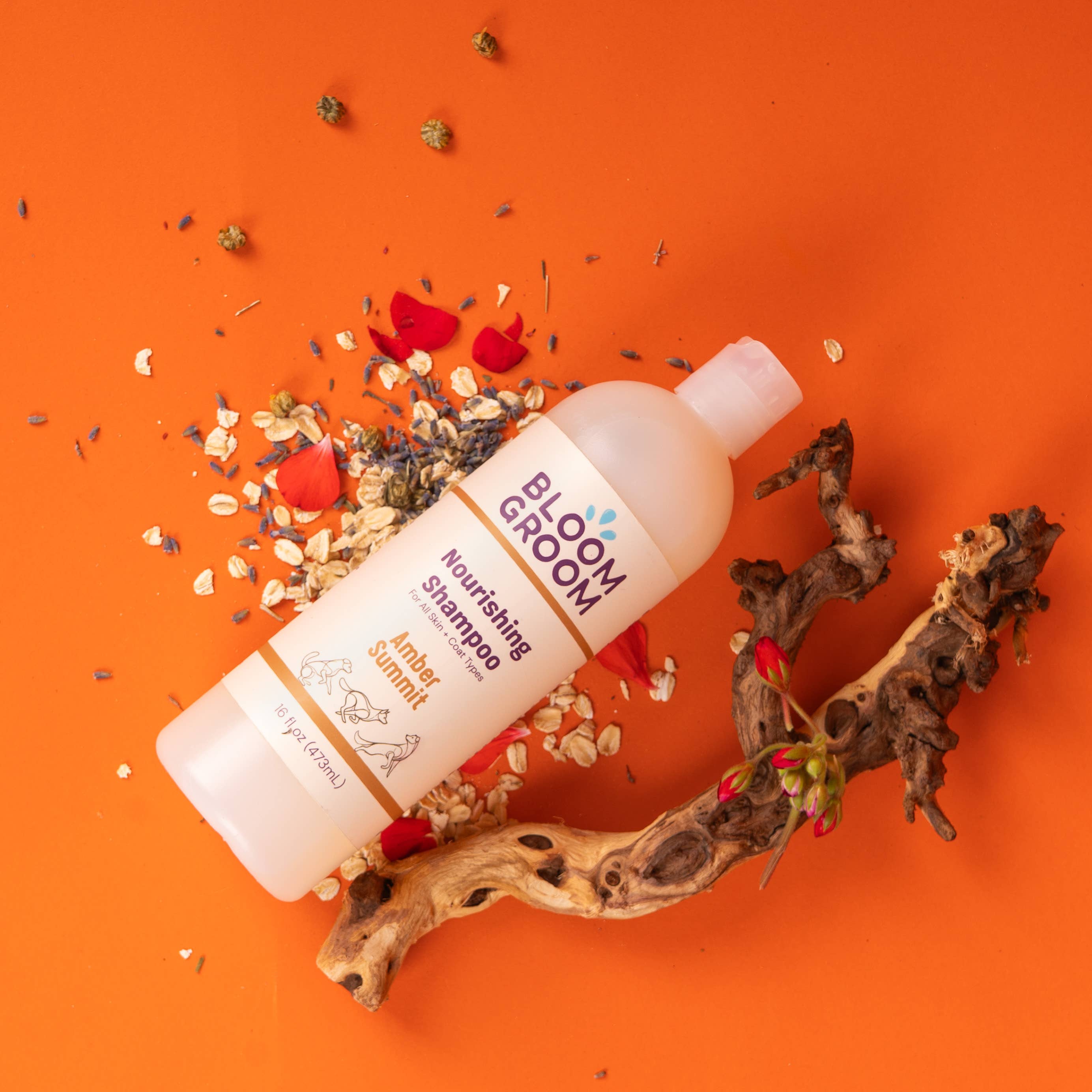 Nourishing Shampoo For Dogs, Amber Summit Bloom Groom