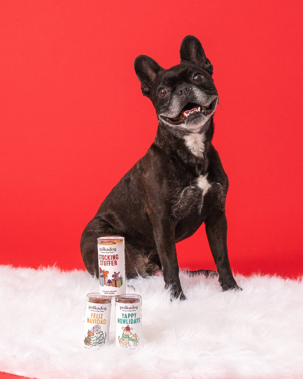 Holiday Mini Tube: Feliz Navidad - Dog Treats - The Bougie Pet Boutique