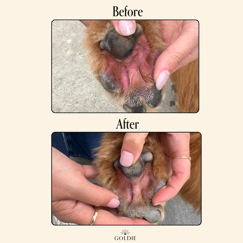 Miracle Mist - The Bougie Pet Boutique