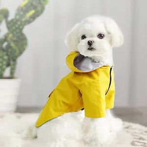 Windproof Raincoat