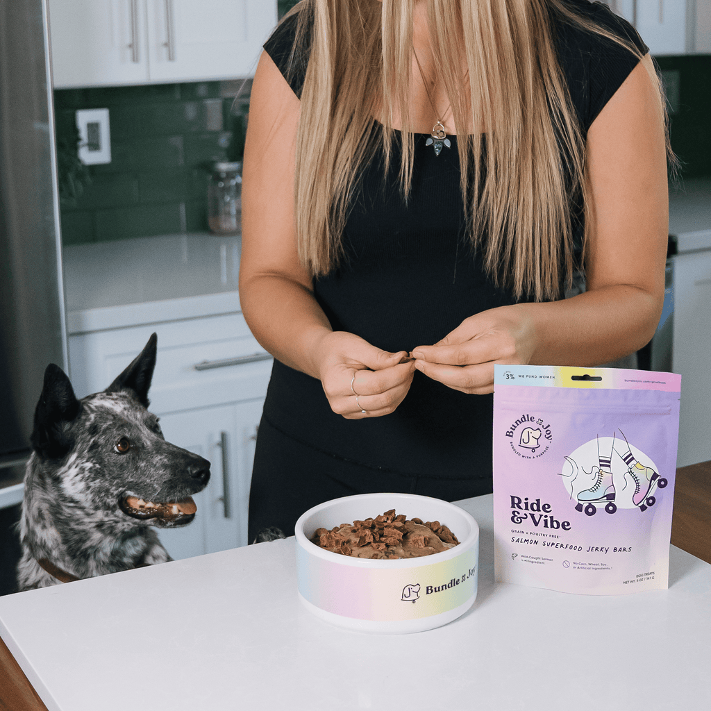 Ride & Vibe Wildlachs-Jerky-Riegel für Hunde 142g