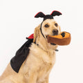 ZippyPaws Halloween Costume Kit Dracula - The Bougie Pet Boutique
