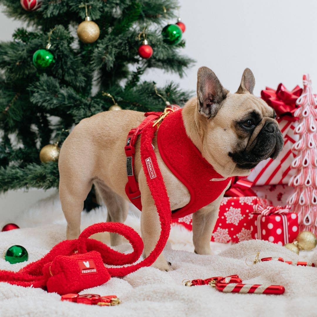 Frenchie Duo Reversible Harness - Teddy Red