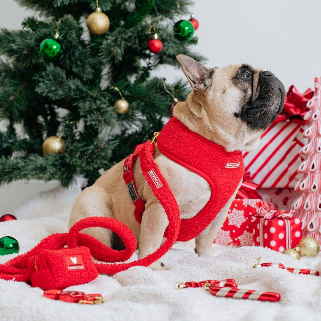 Frenchie Duo Reversible Harness - Teddy Red