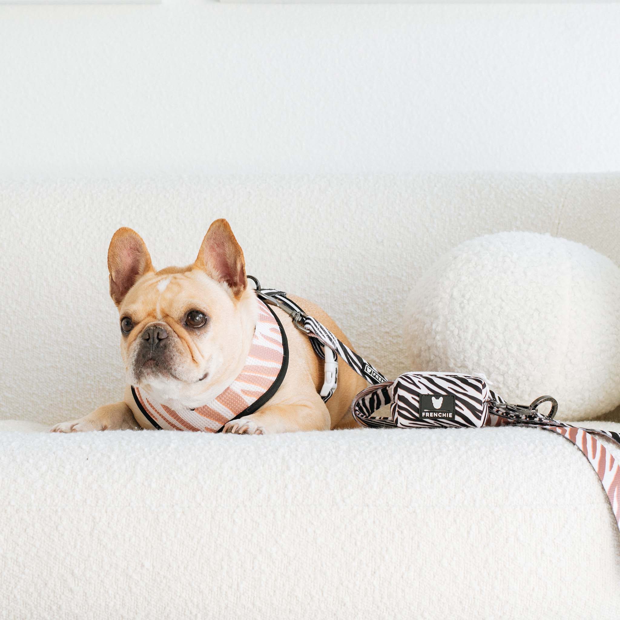 Frenchie Poo Bag Holder - Zebra