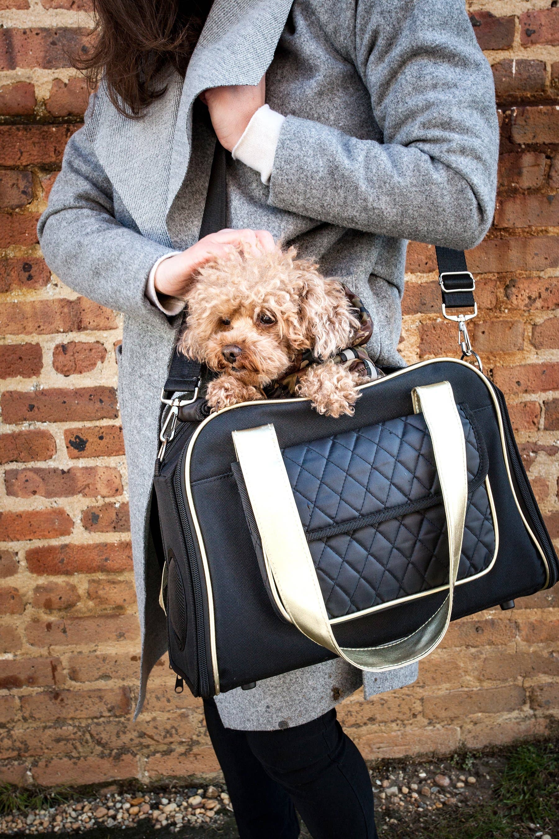 Airline Approved Mystique Fashion Pet Carrier Pet Life