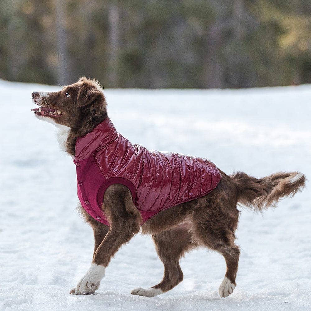 Custom-woven& Dyed Puffer Jacket, Flex Chest + Leash Opening - The Bougie Pet Boutique