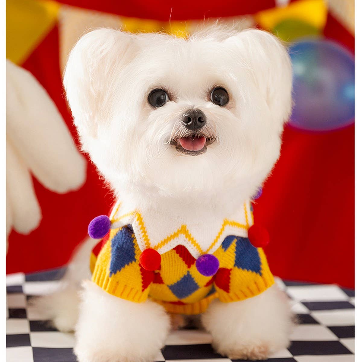 Funny Circus Dog Holiday Outfit_CWMM12112 PAWPAWwholesale