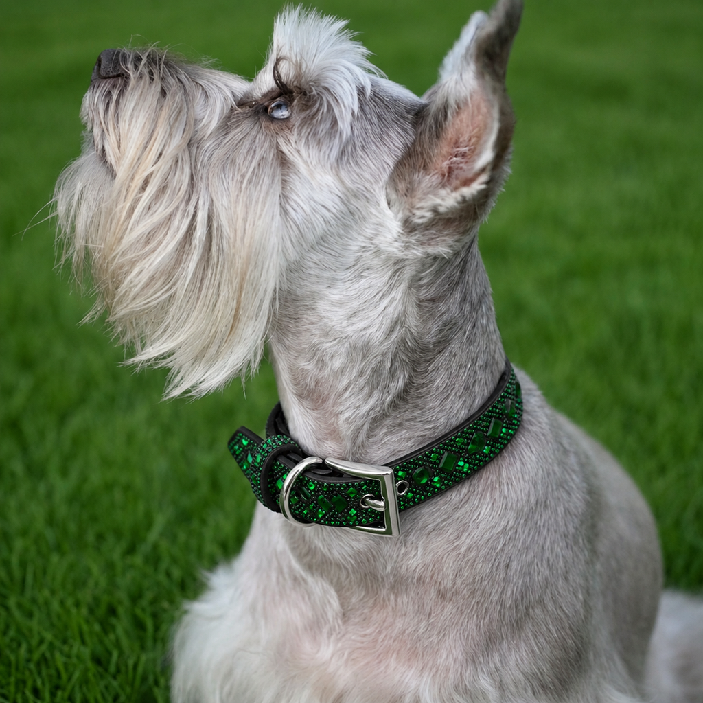 Green Rhinestone Dog Collar Dog Collar World