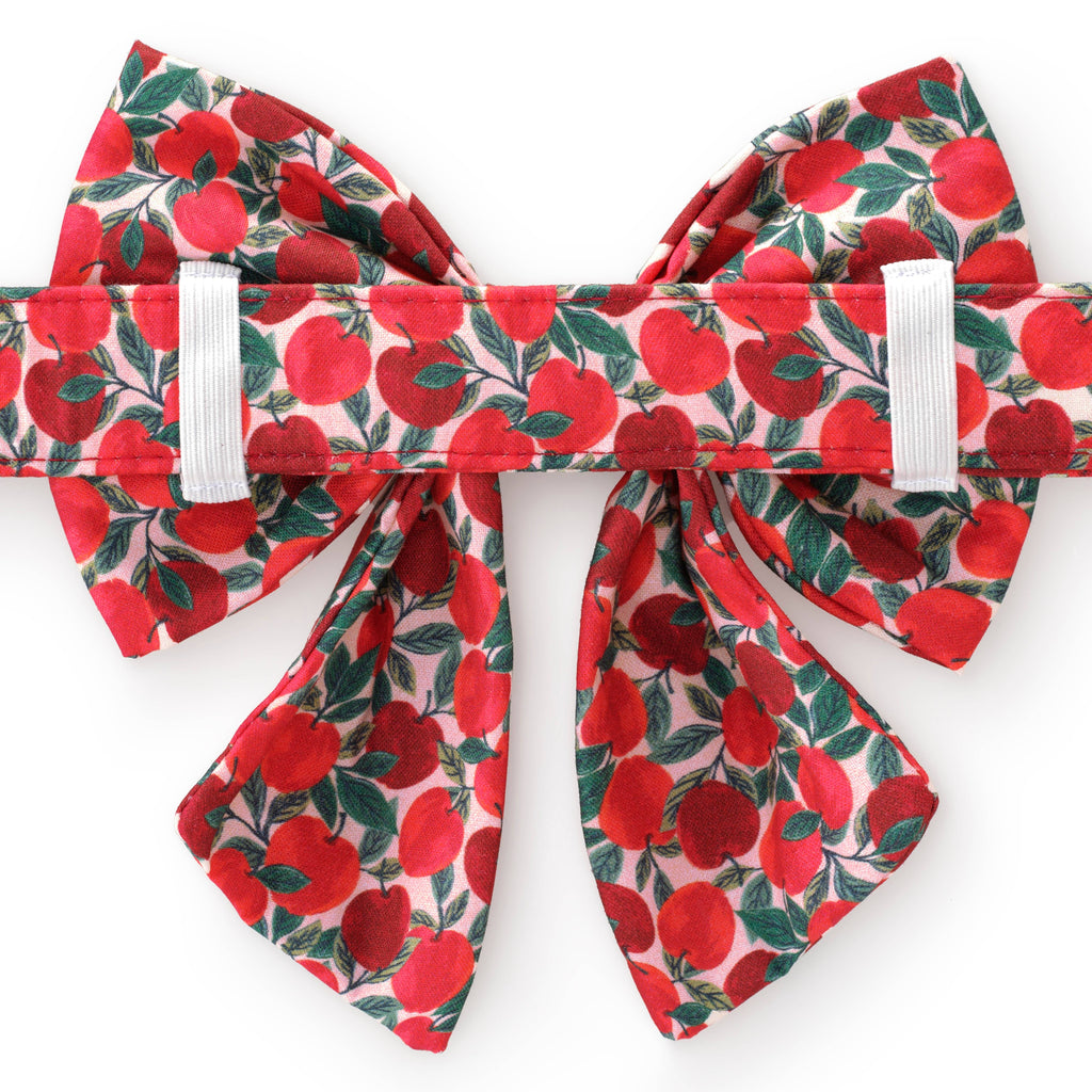Apple of My Eye Fall Lady Dog Bow - The Bougie Pet Boutique