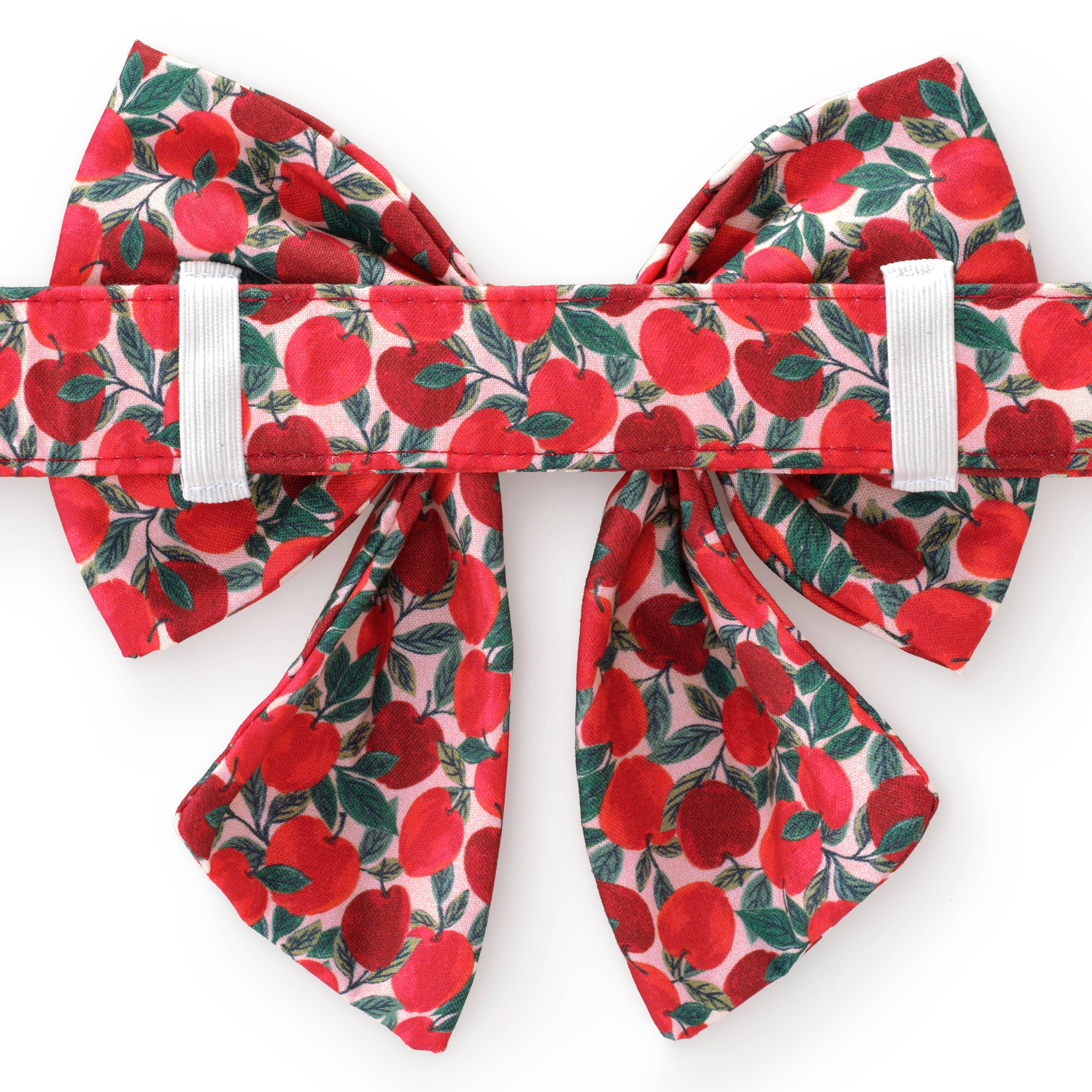 Apple of My Eye Fall Lady Dog Bow - The Bougie Pet Boutique