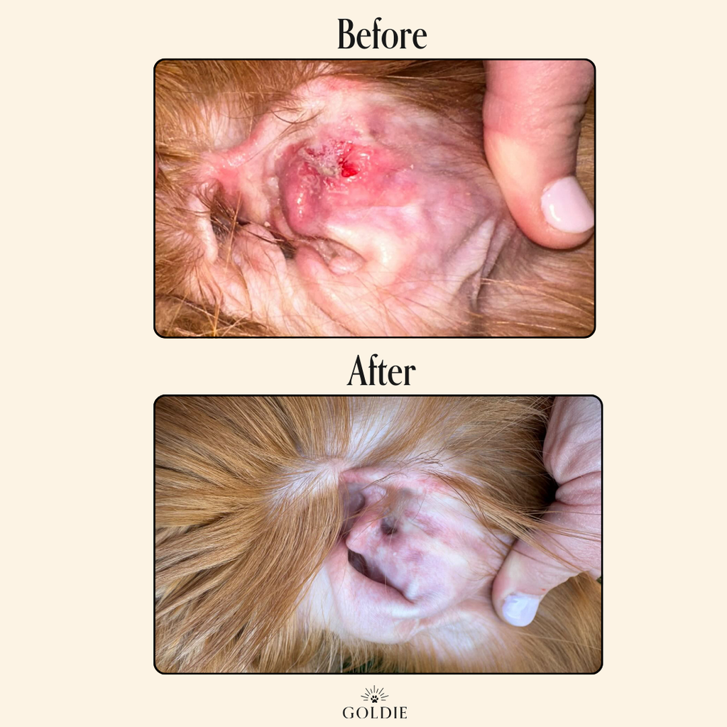 Miracle Rinse - The Bougie Pet Boutique