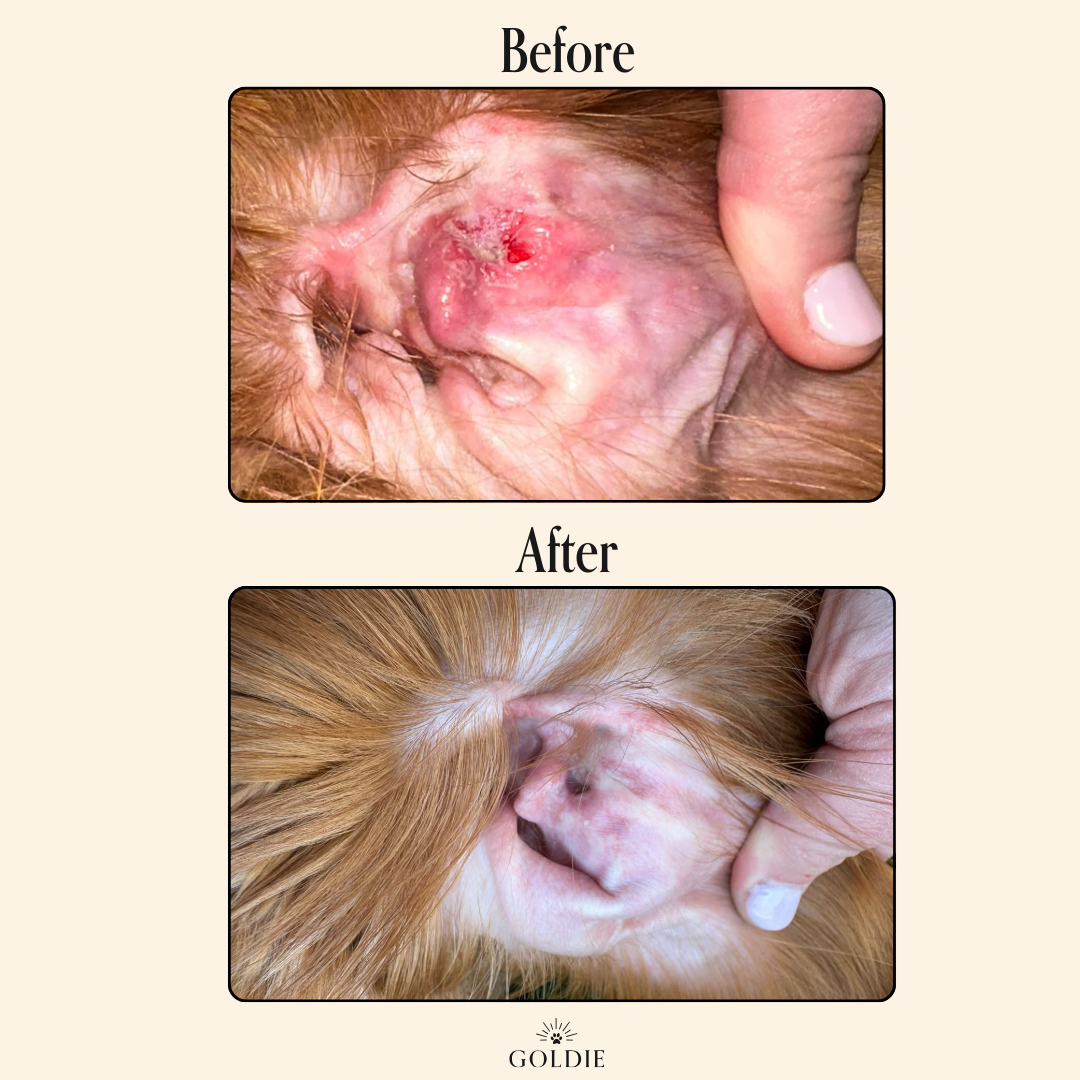 Miracle Rinse - The Bougie Pet Boutique