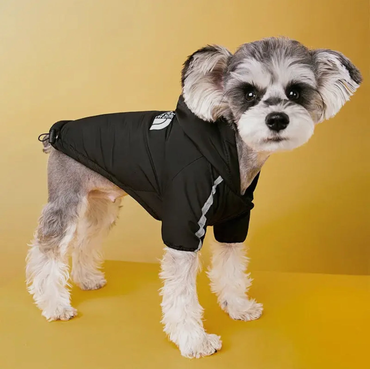 The Dog Face Triclimate Jacket