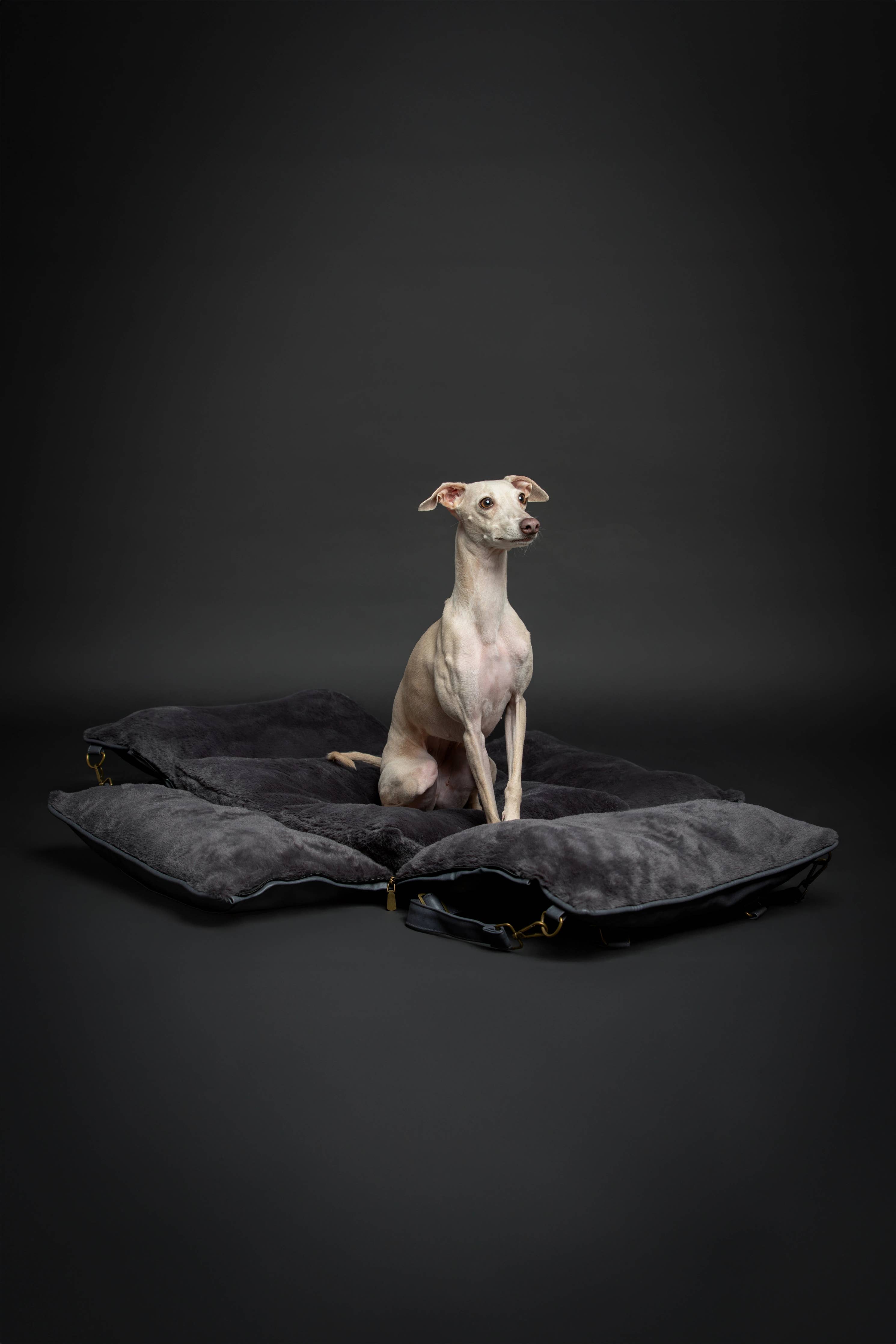 Dog Car Seat Carrier Orthopedic Crushed Foam, Black, Vegan Leather - The Bougie Pet Boutique