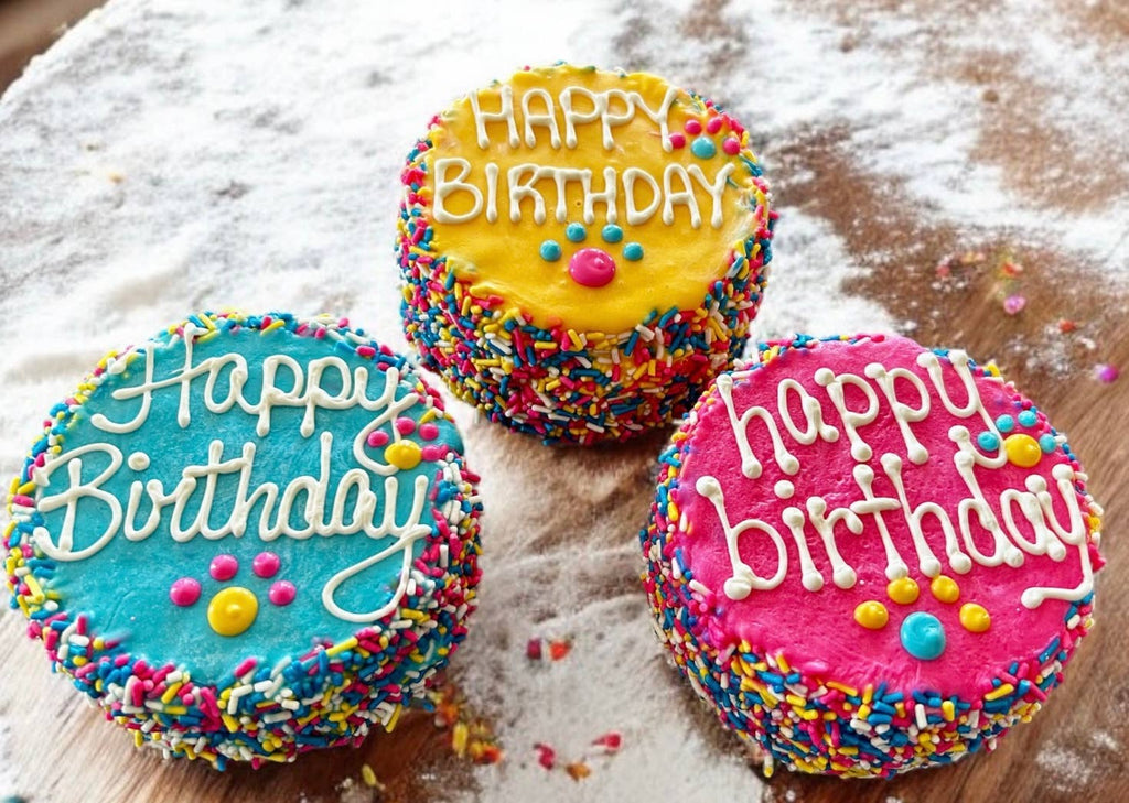Colorful FIESTA Sprinkle Doggie Cake Treat YumYum4DOGS