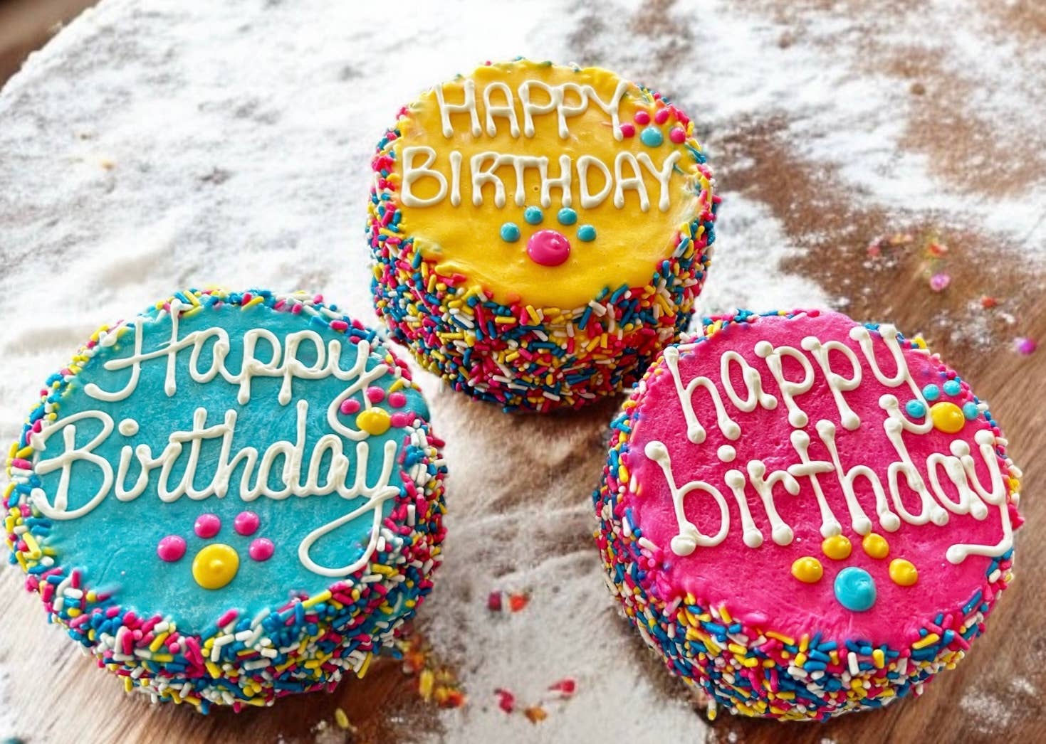 Colorful FIESTA Sprinkle Doggie Cake Treat YumYum4DOGS