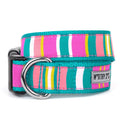 Fiesta Stripe Collar - The Bougie Pet Boutique