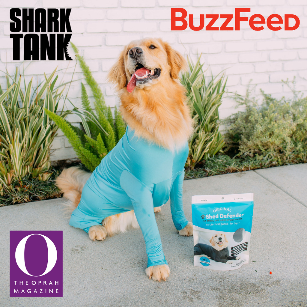 Shed Defender® Original Dog Onesie - Shedding Bodysuit Shed Defender