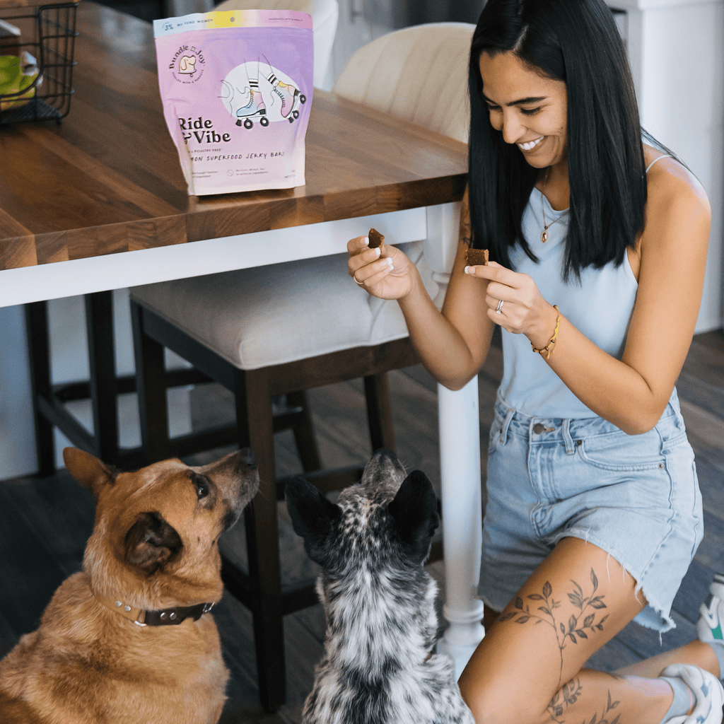 Ride & Vibe Wildlachs-Jerky-Riegel für Hunde 142g