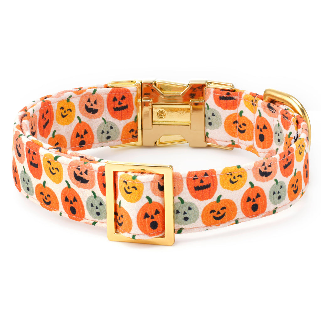 Jack-o'-Lanterns Halloween Dog Collar - The Bougie Pet Boutique
