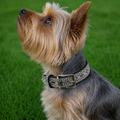 Light Pink Rhinestone Dog Collar Dog Collar World
