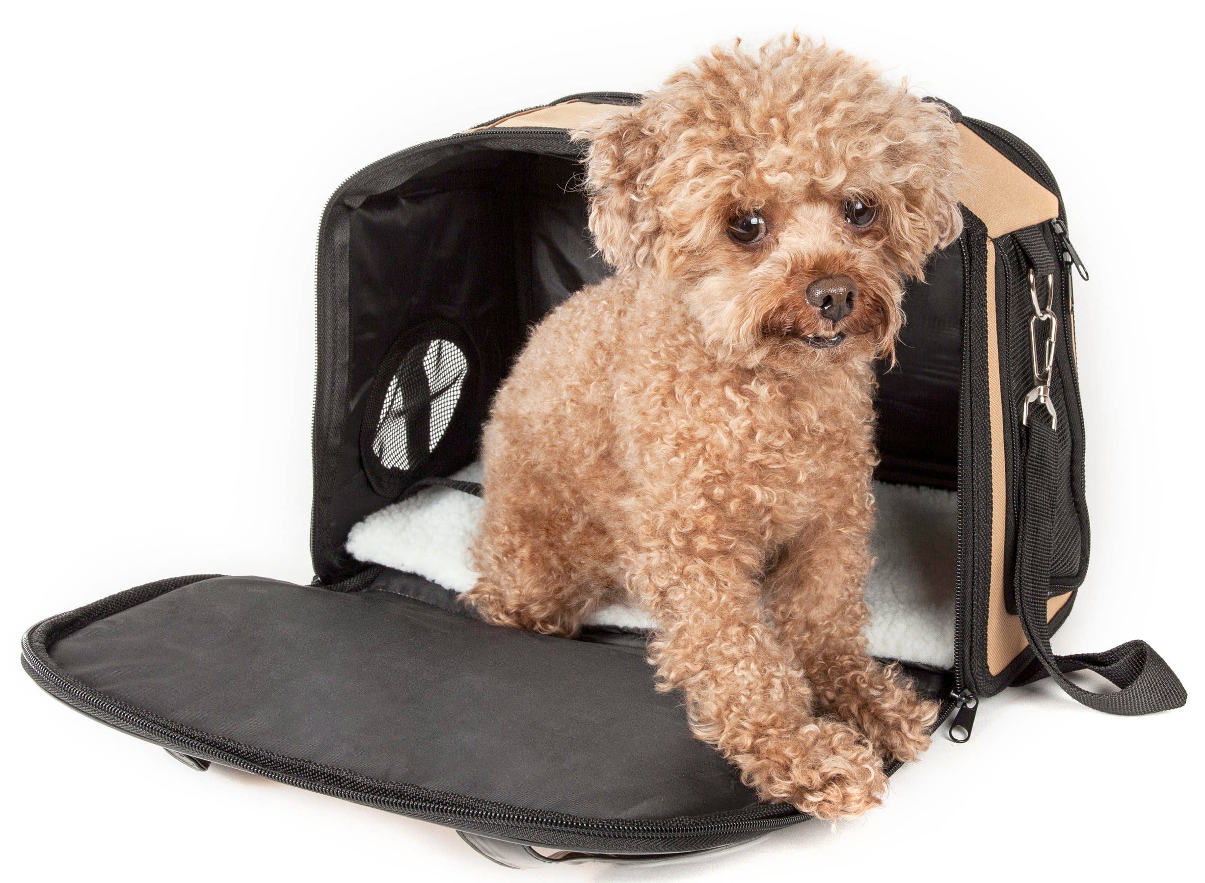 Airline Approved Mystique Fashion Pet Carrier Pet Life