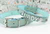 Sniffany Blue Chrome Personalizable Pet Collar - The Bougie Pet Boutique