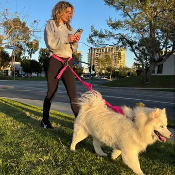 Hands Free Dog Leash Belt - Attaches To Any Leash Shed Defender