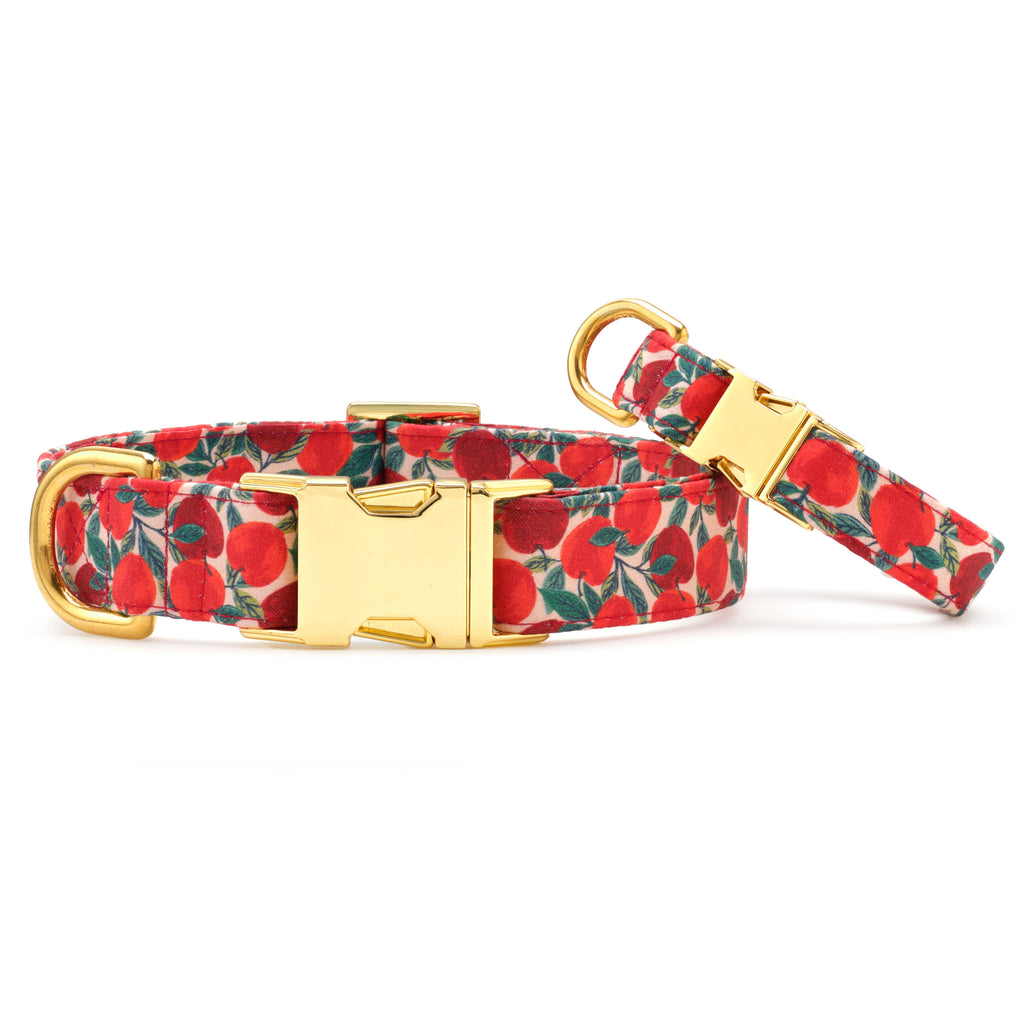 Apple of My Eye Fall Dog Collar - The Bougie Pet Boutique