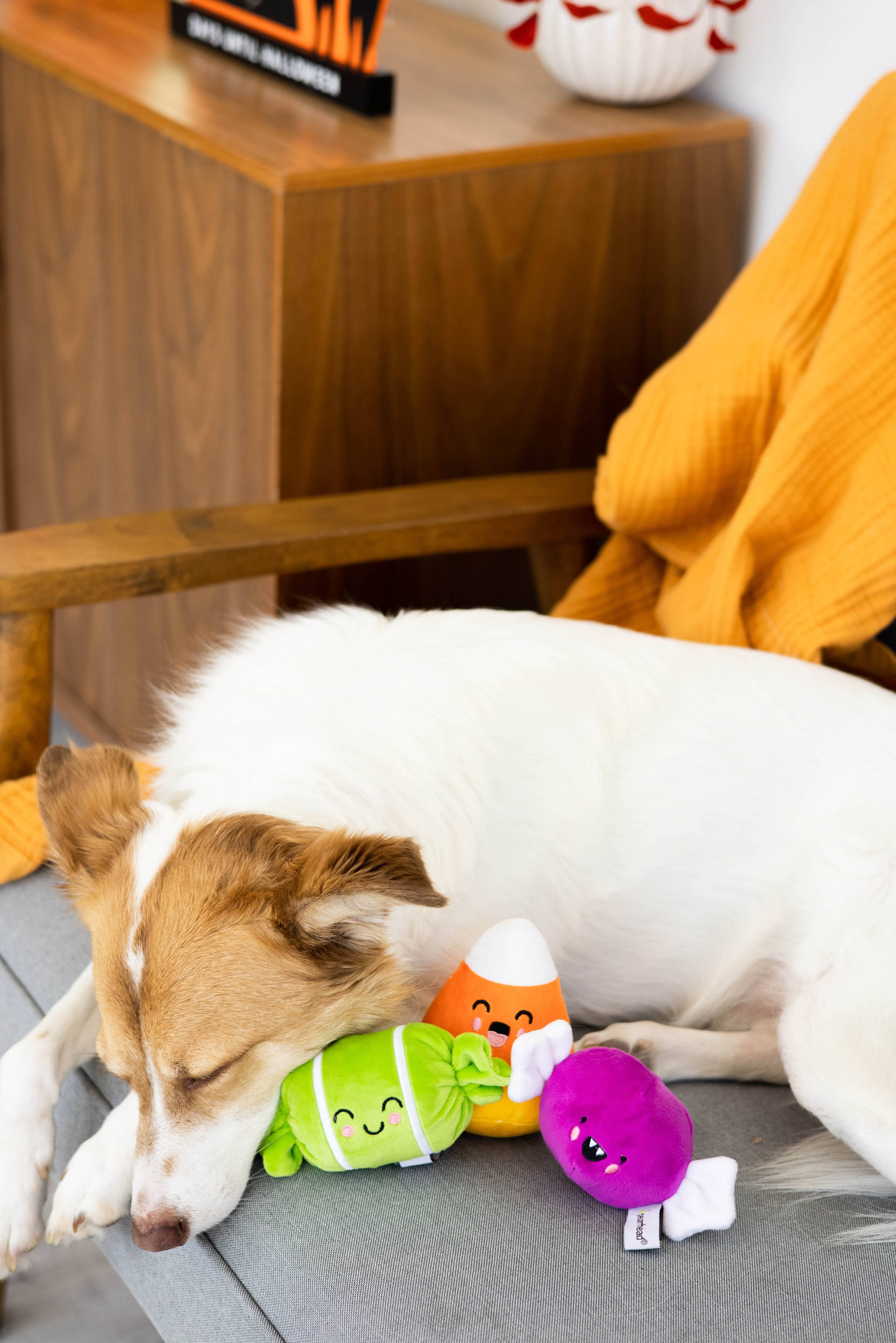 Halloween Candy Dog Toys, Set of 3 - The Bougie Pet Boutique