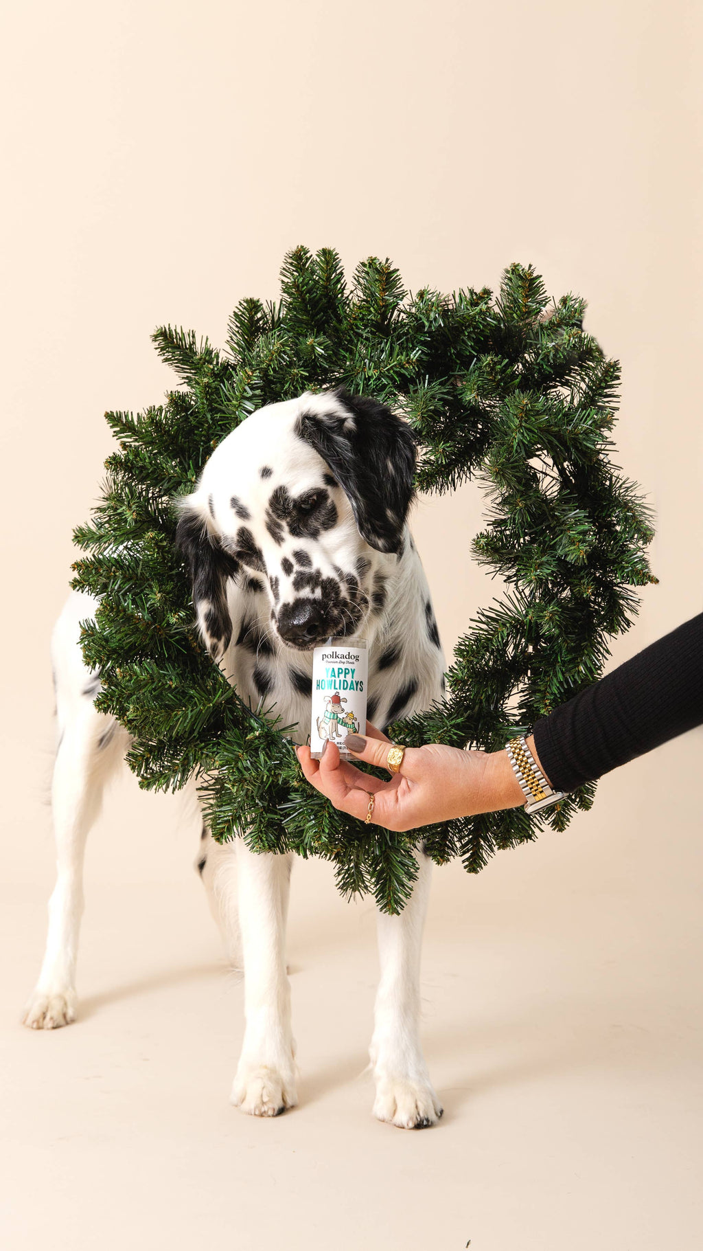 Holiday Mini Tube: Yappy Howlidays - Dog Treats - The Bougie Pet Boutique