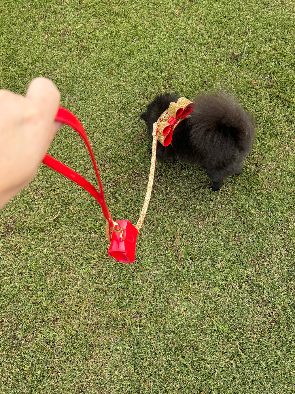 Glam Leash - The Bougie Pet Boutique
