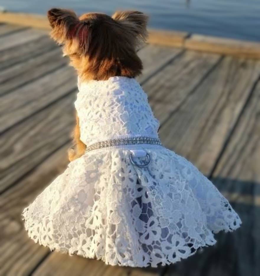 White Lace Dog Wedding Dress with Matching Leash Doggie Design