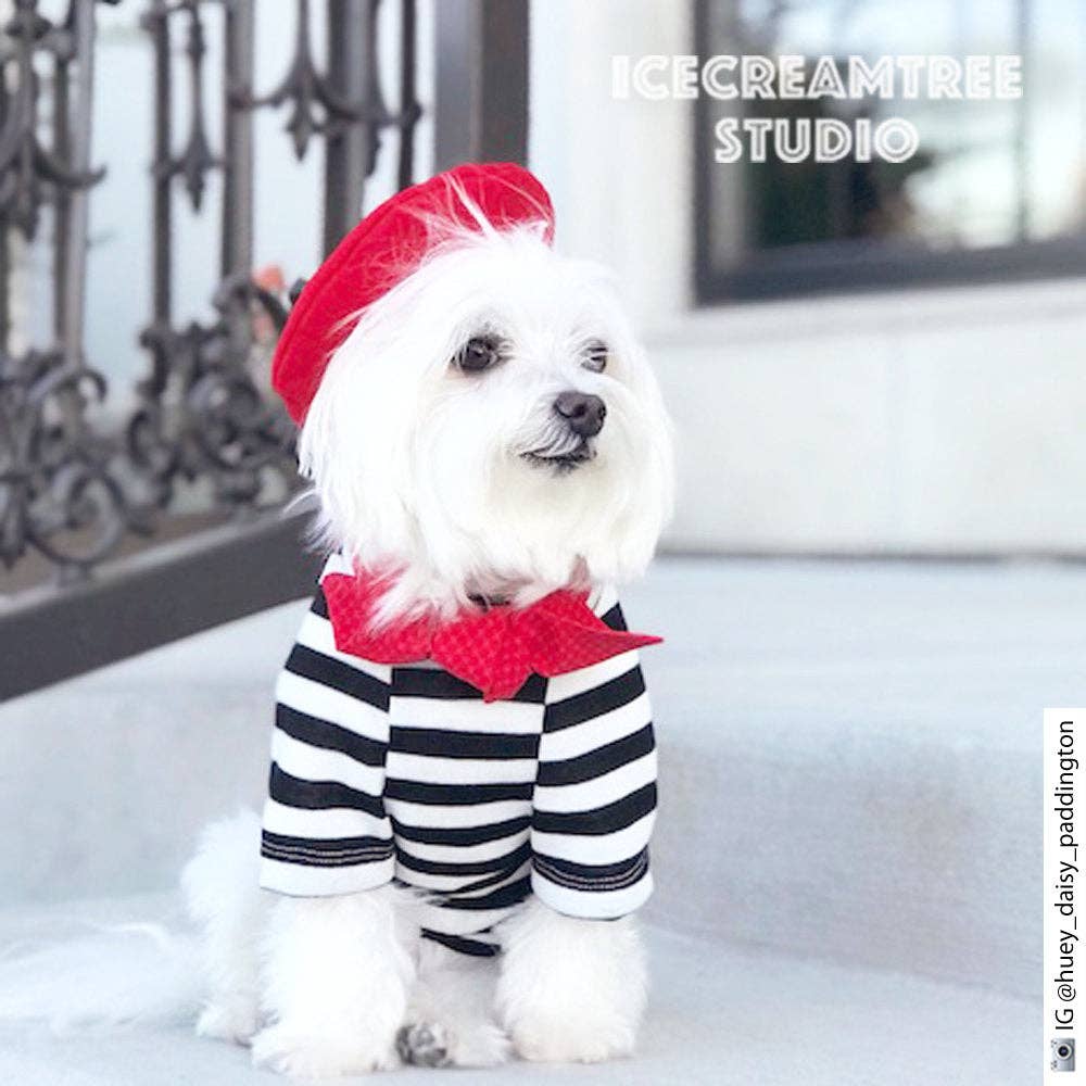 French Look Outfit Scarf and Black Stripe Top Set - Dog Cat