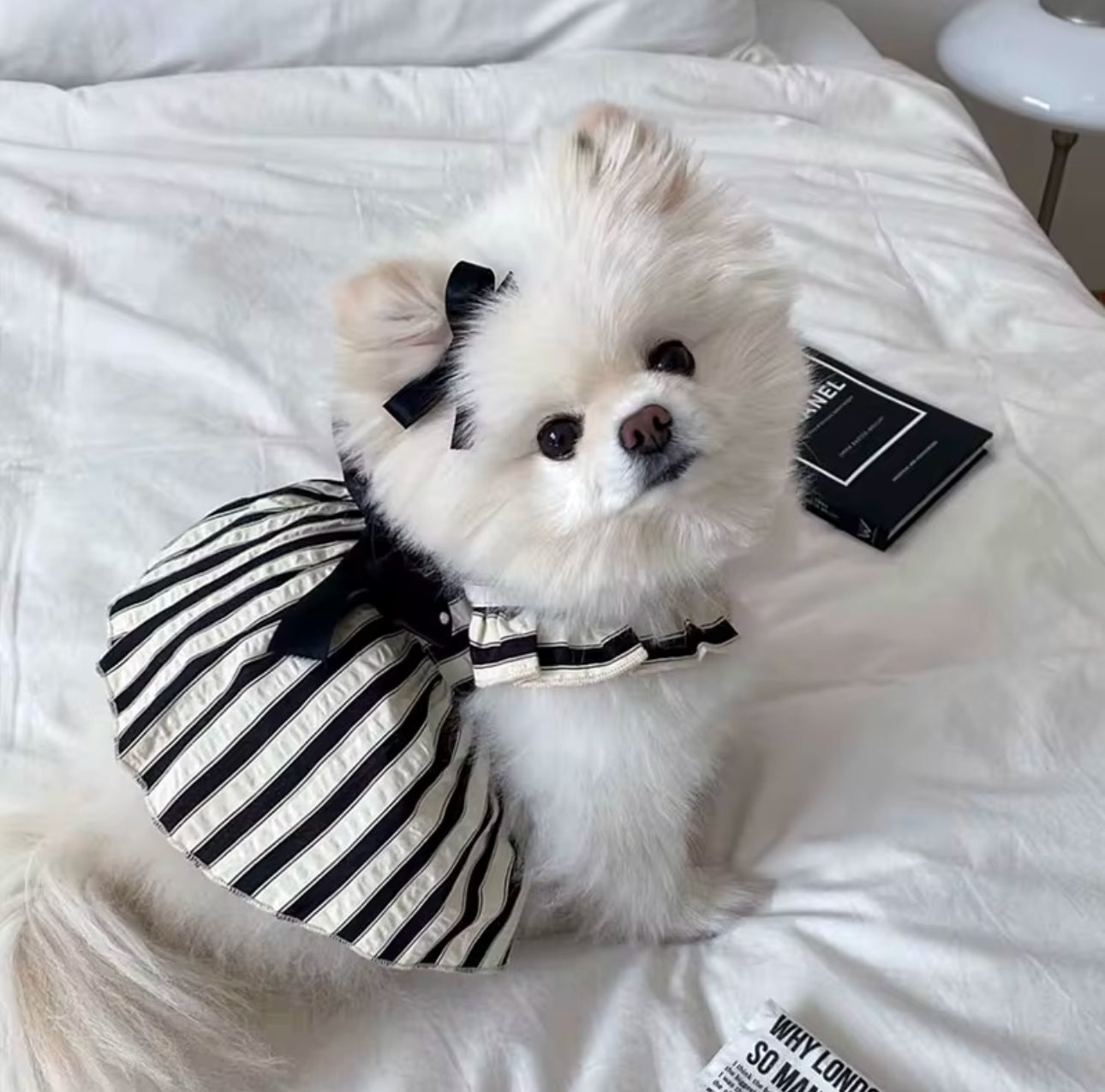 Black and Cream Striped Dress - The Bougie Pet Boutique